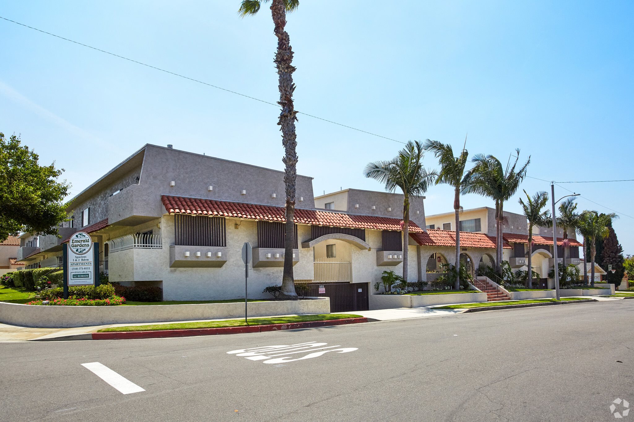 a house with a tall palm tree in front of it